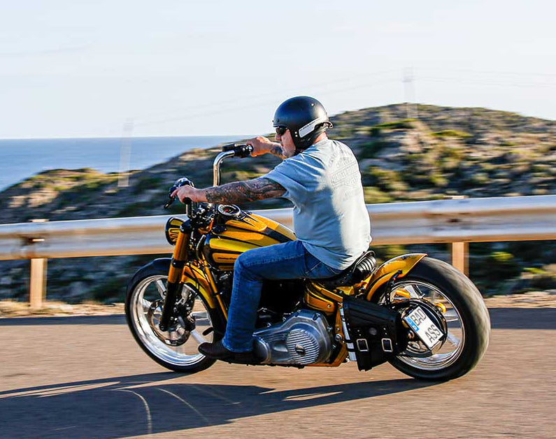 Rick's Motorcycles USA - Custom Parts for Harley-Davidson