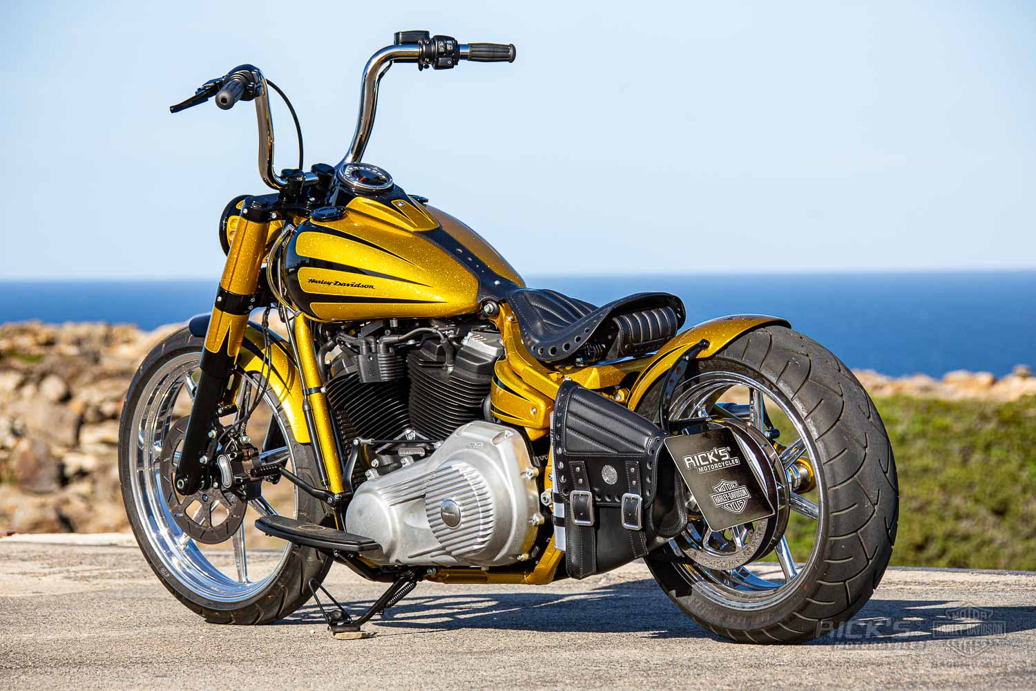 Rick's Motorcycles USA - Custom Parts for Harley-Davidson