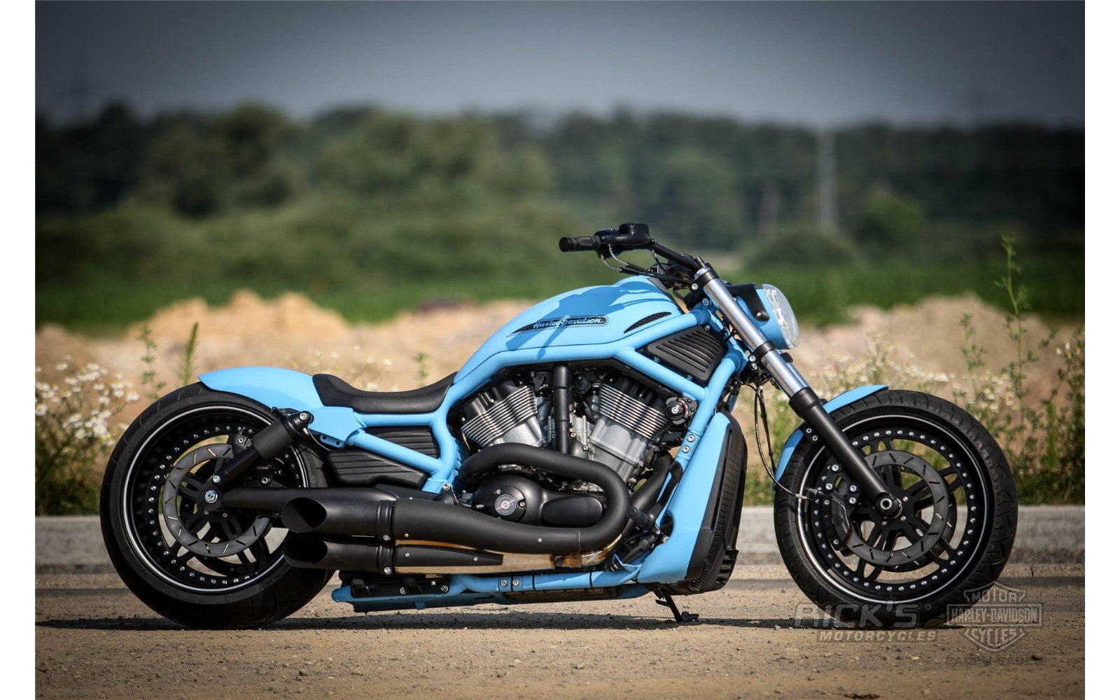 Rick's Front Fender GRP - V-Rod 02-06