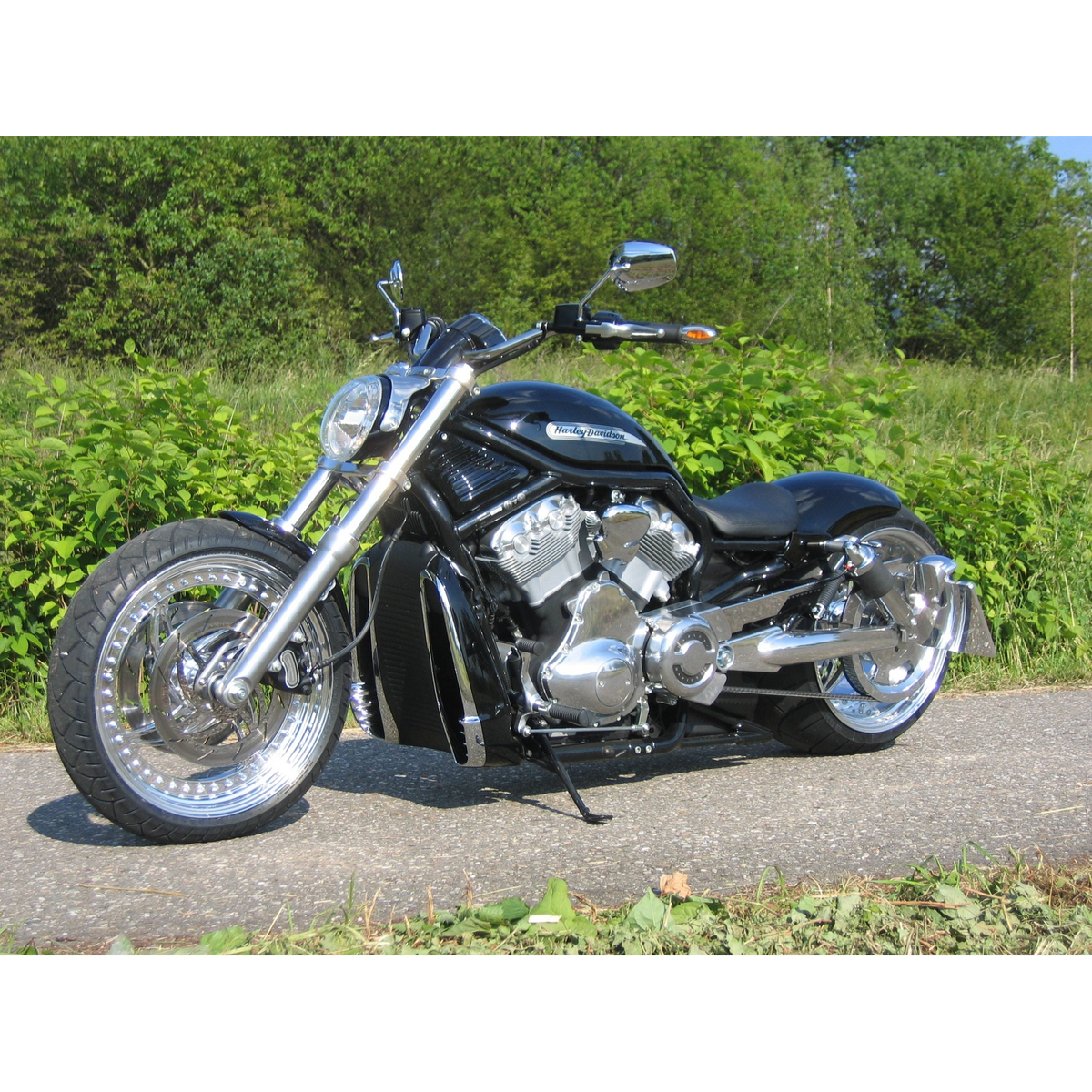 Rick's Side License Plate Bracket Polished (OEM Swingarm) - V-Rod 02-17