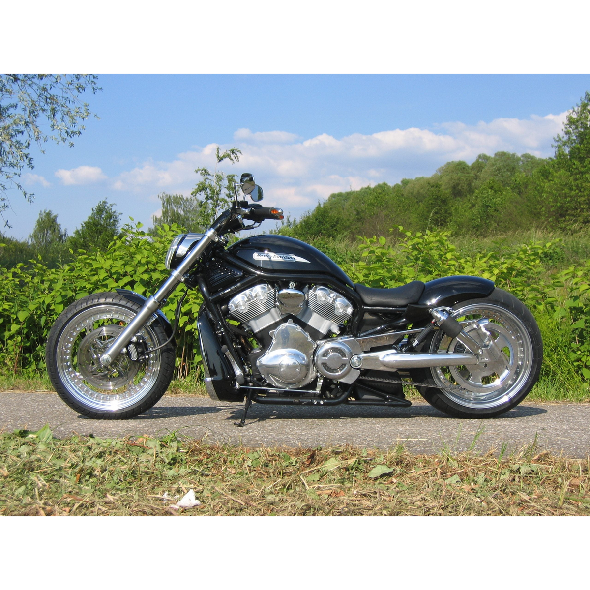Rick's Side License Plate Bracket Polished (OEM Swingarm) - V-Rod 02-17