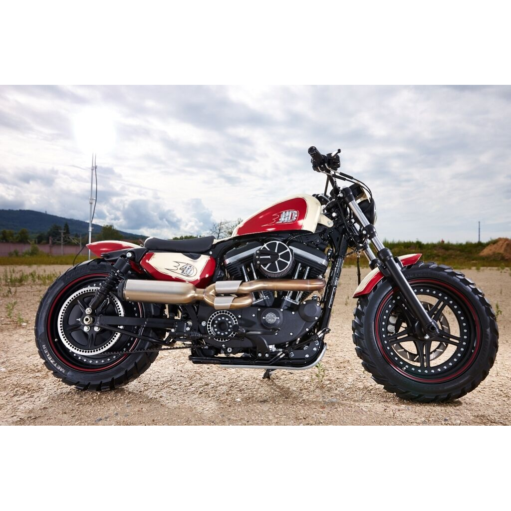 Rick's Perforated Pulley Trim Cover - Sportster 04-up