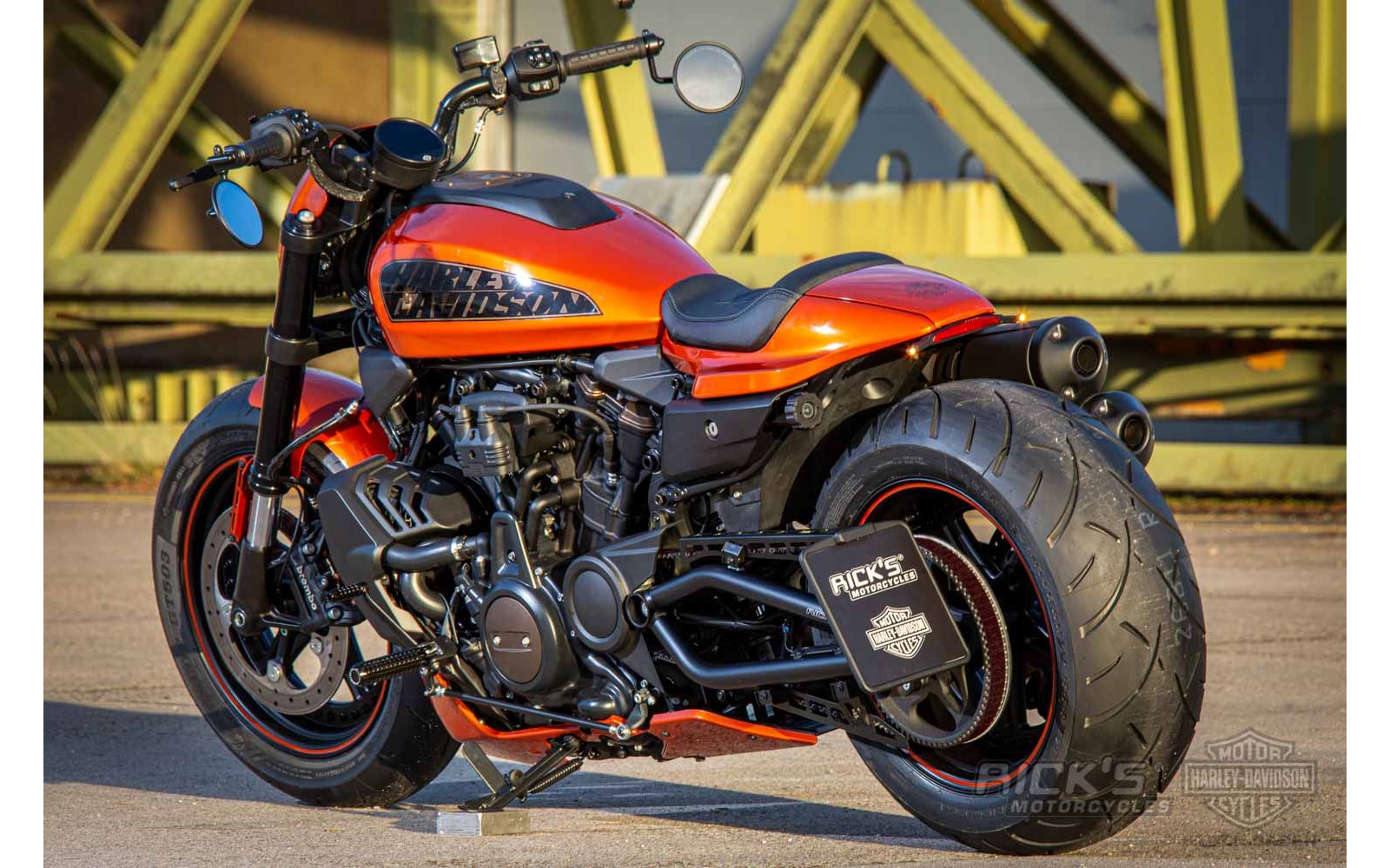 Rick's Belt Guard Matte Set - Sportster S 21-up