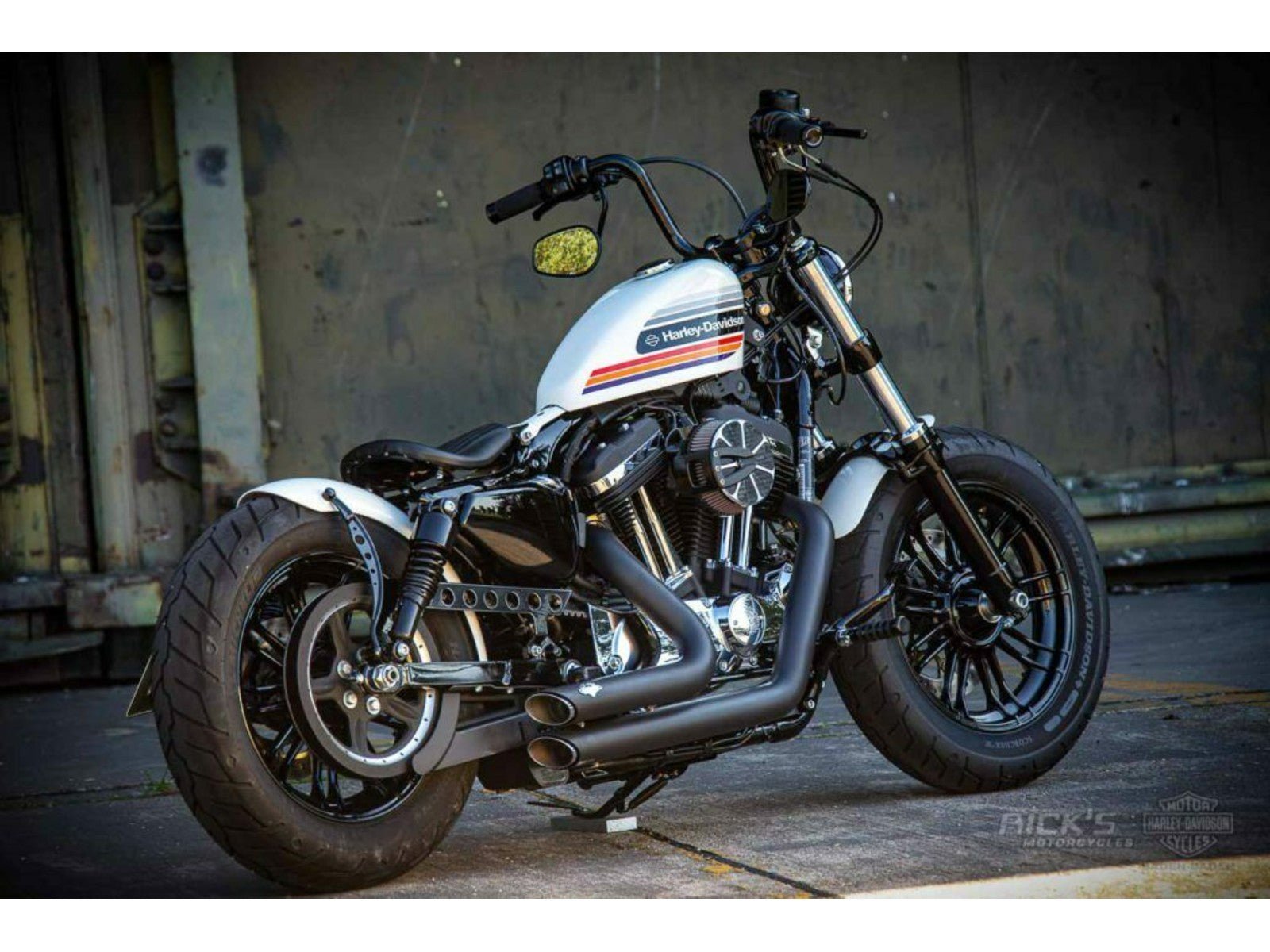 Rick's Belt Guard Gloss - Sportster 09-up