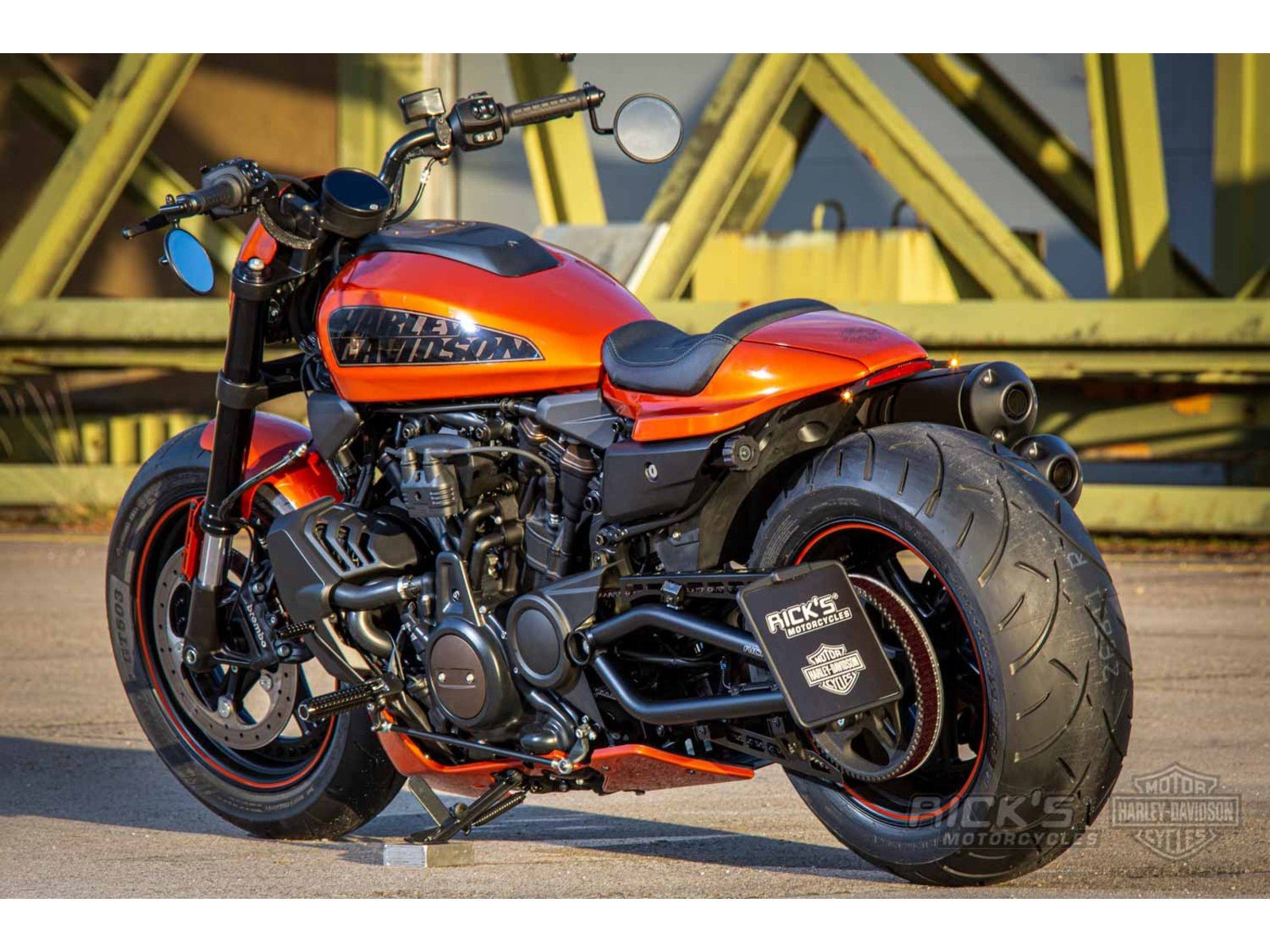 Rick's Belt Guard Matte Set - Sportster S 21-up