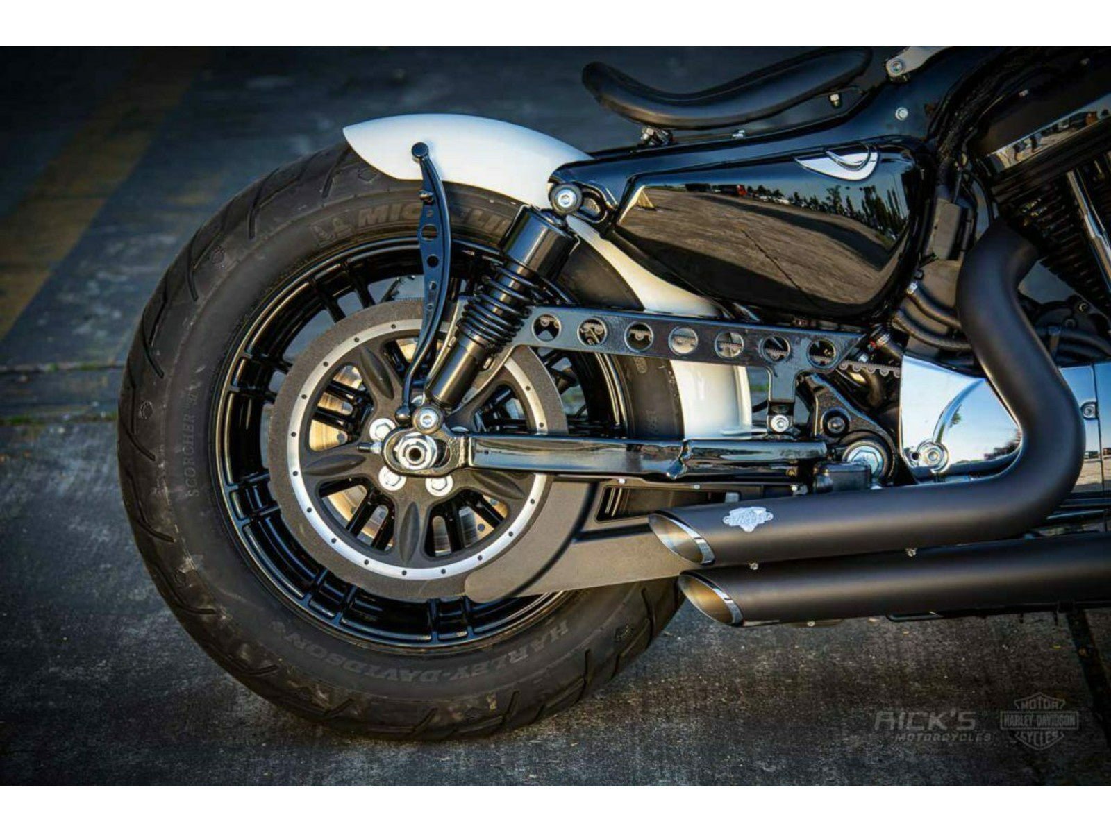 Rick's Belt Guard Matte - Sportster 09-up