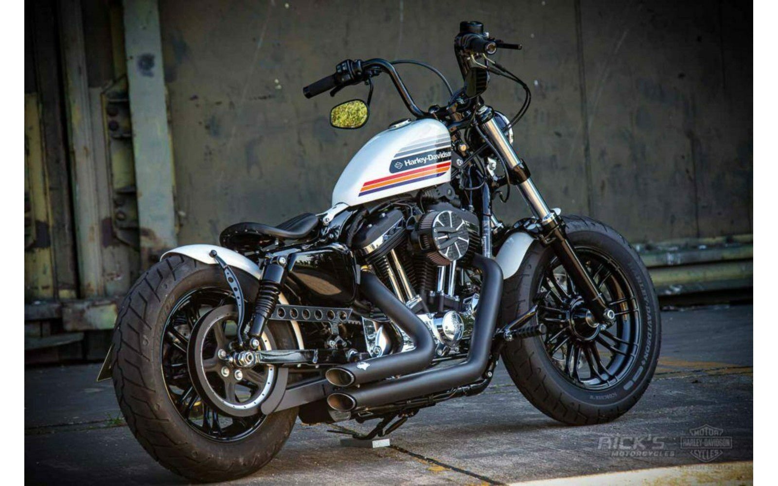 Rick's Belt Guard Matte - Sportster 09-up