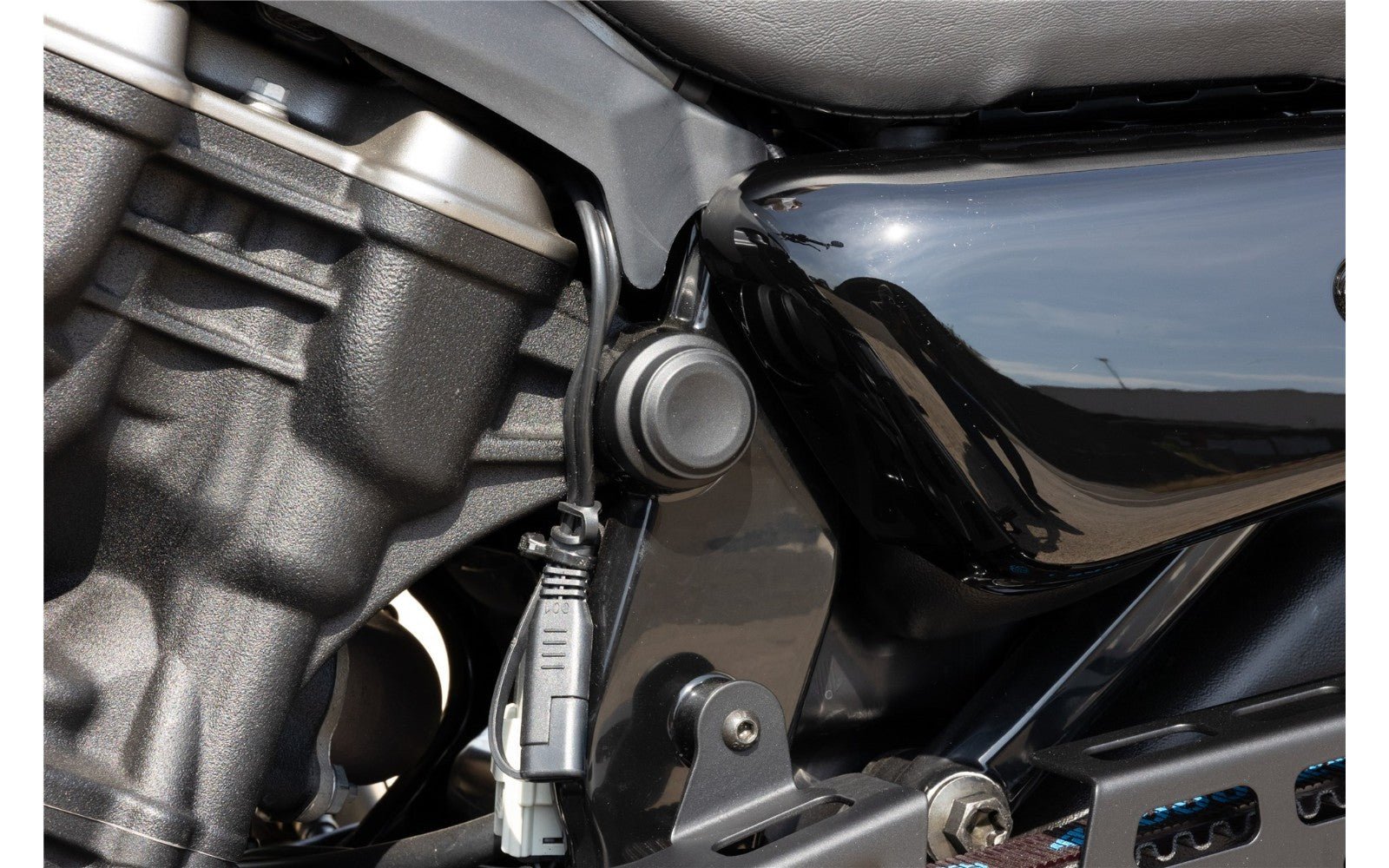 Rick's Frame Nut Covers (22mm) Cover Set - Nightster 22 - up - Rick's Motorcycles USA - Custom Parts for Harley - Davidson