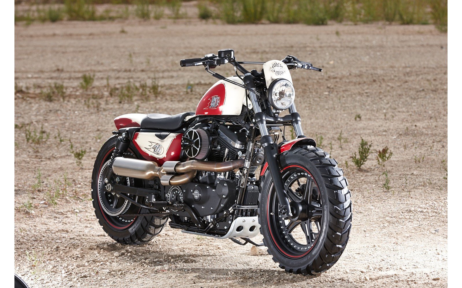 Rick's Headlight Mask - Sportster 48