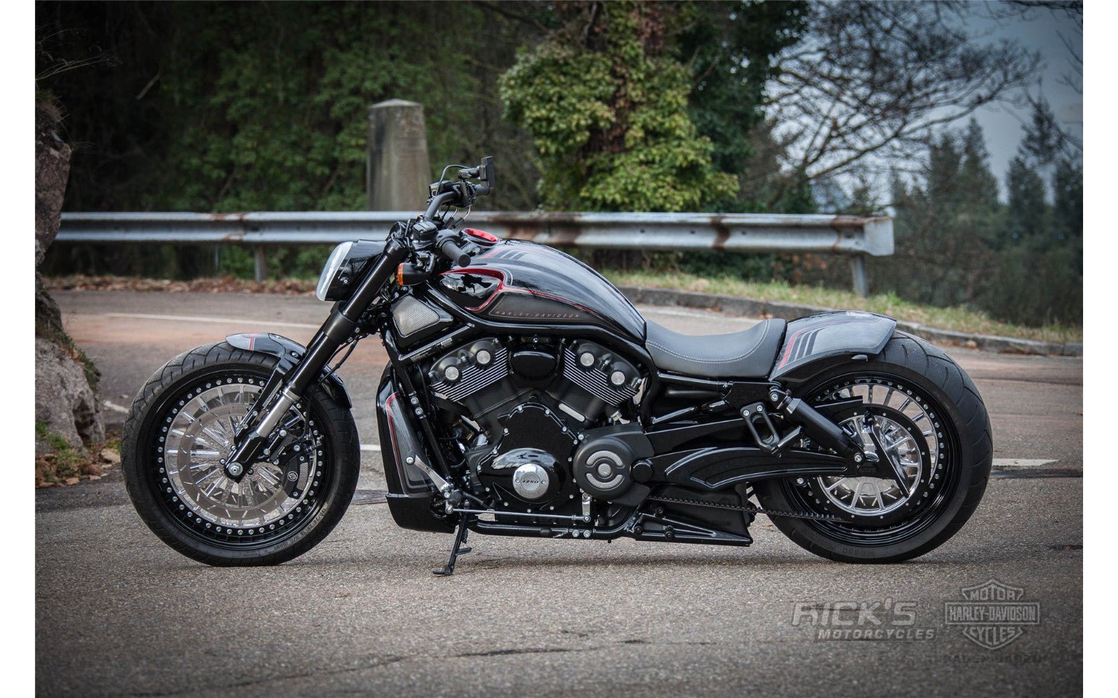 Rick's Side License Plate Bracket (Rick's Swingarm) - V - Rod 07 - 17 - Rick's Motorcycles USA - Custom Parts for Harley - Davidson