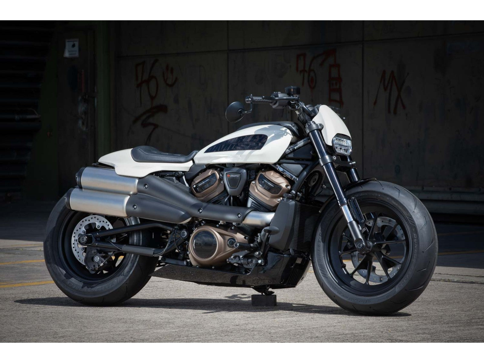 Rick's Swingarm Cable Protection Matte Black - Sportster S 21-up