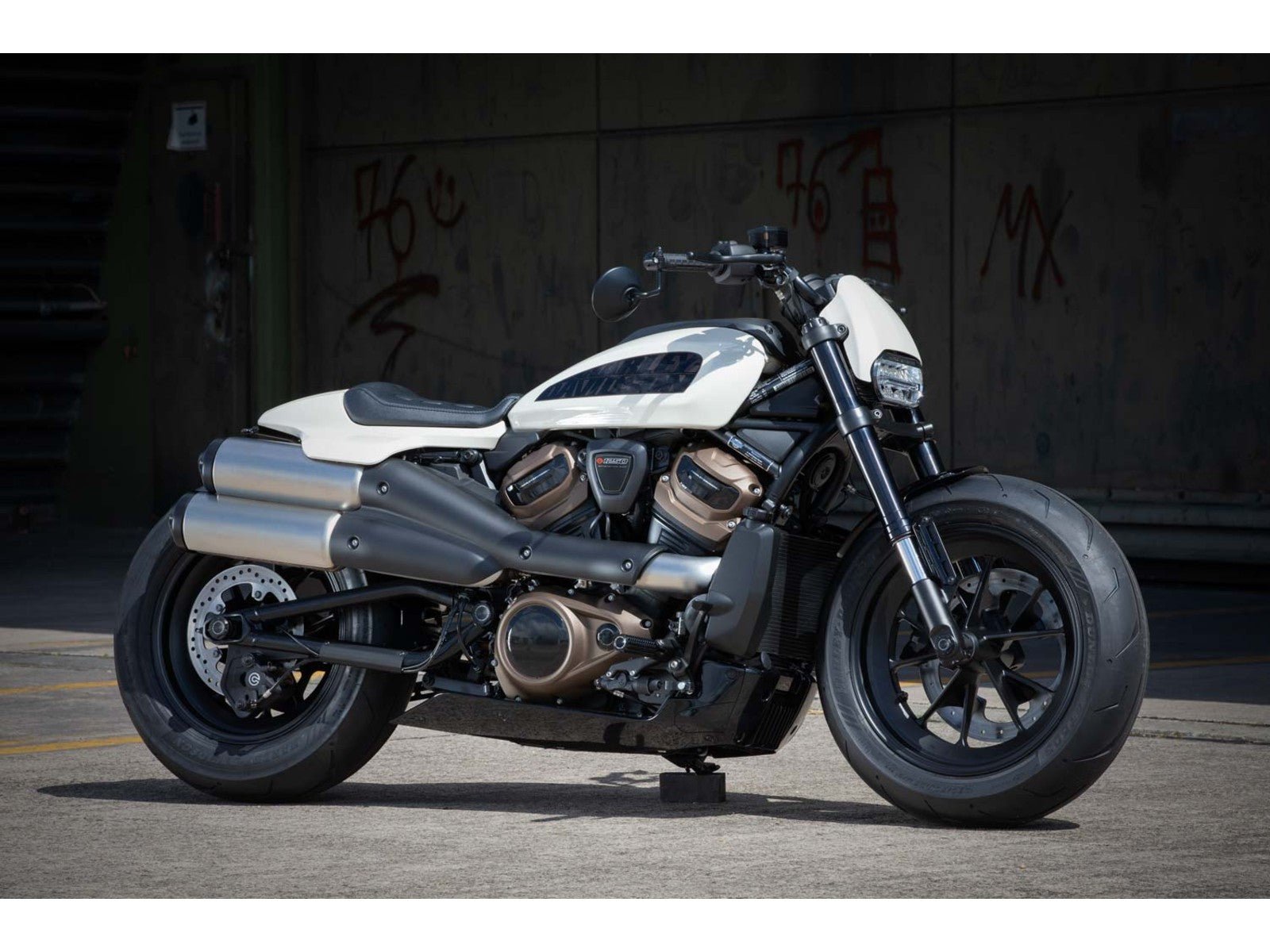 Rick's Swingarm Cable Protection Matte Black - Sportster S 21-up
